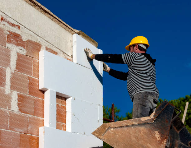 Best Spray Foam Insulation  in Princeton, TX