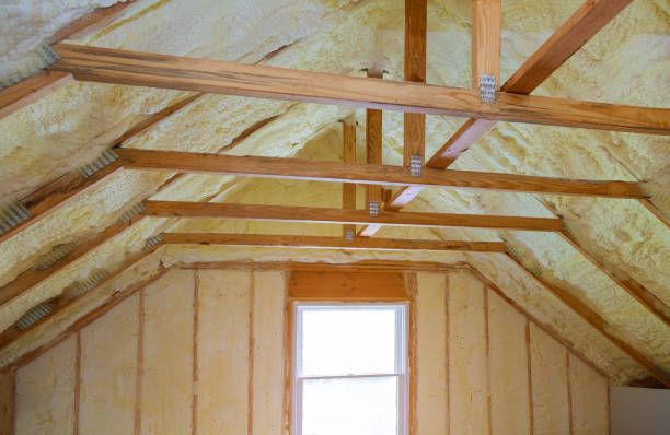 Best Commercial Insulation Contractor  in Princeton, TX