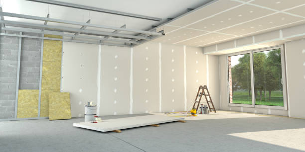 Best Insulation Removal Services  in Princeton, TX
