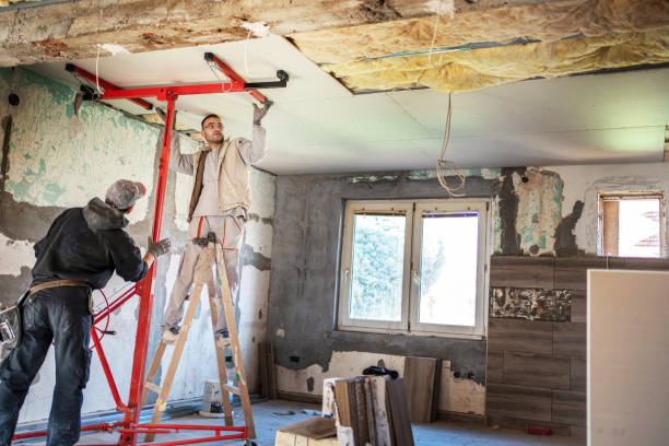 Insulation Replacement Services in Princeton, TX