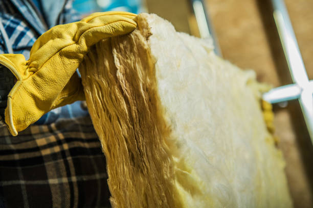Best Attic Insulation Installation  in Princeton, TX