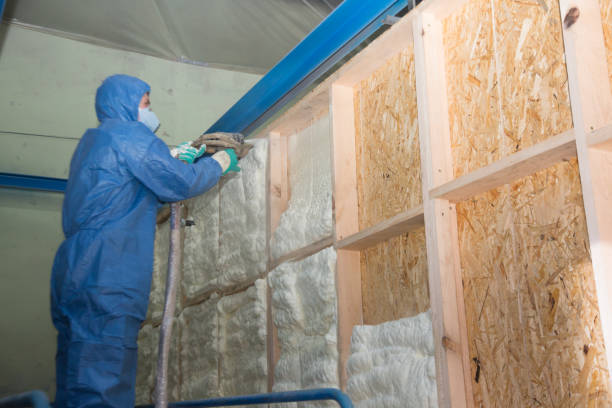 Insulation Contractors for Homes in Princeton, TX