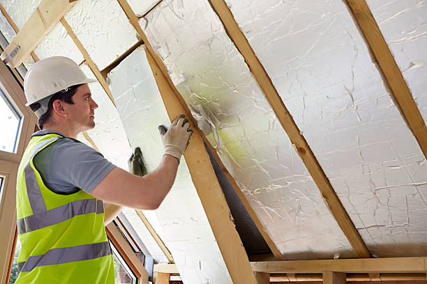 Best Commercial Insulation Contractor  in Princeton, TX