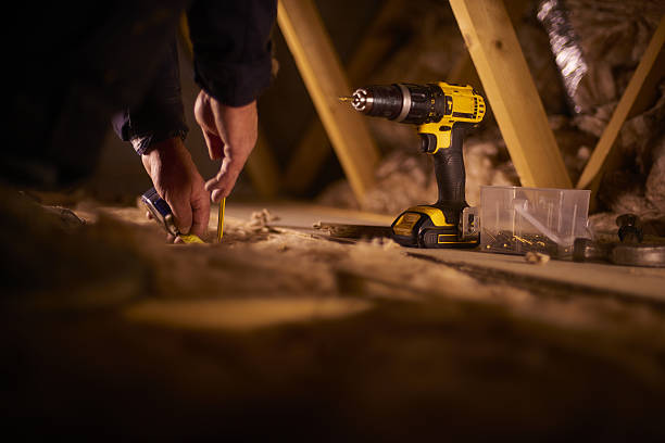 Best Insulation Removal  in Princeton, TX