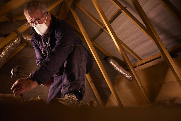 Best Insulation Replacement Services  in Princeton, TX