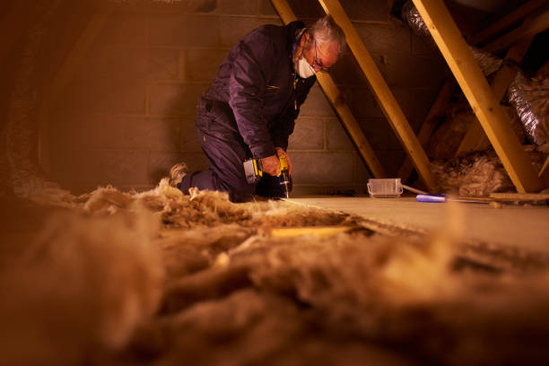 Best Local Insulation Services  in Princeton, TX